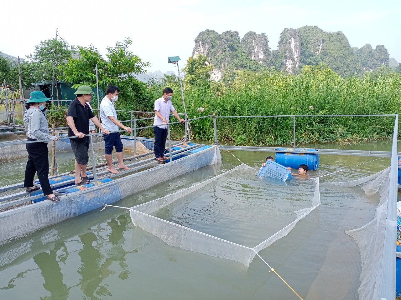 Triển khai mô hình nuôi cá nheo Mỹ ở Lạng Sơn